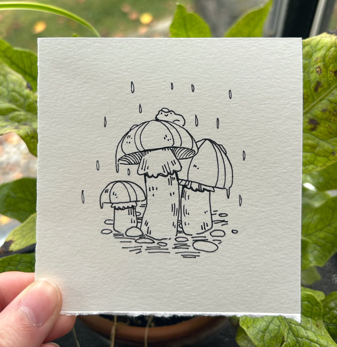 littletoadart's tweet photo. #froggyfall day 22: mushroom. Mushrooms make great little umbrellas, but froggy loves the rain ☔️
#froggyfall23 https://t.co/KPKfwA19VM