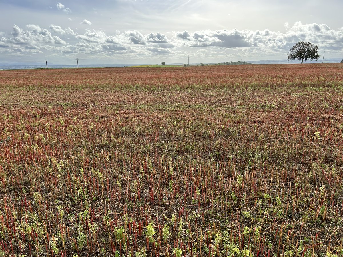Balade dominicale dans le vignoble saint-pourcinois 🍇
<a href="/SAINTPOURCAIN/">Cave des Vignerons de Saint Pourçain</a> <a href="/Odg_StPourcain/">Vins de Saint-Pourçain</a>