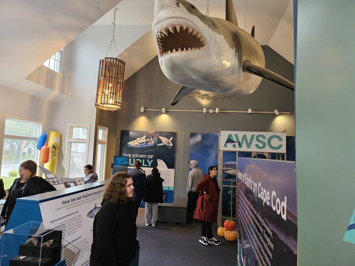 Lisa Sequeira tweet media