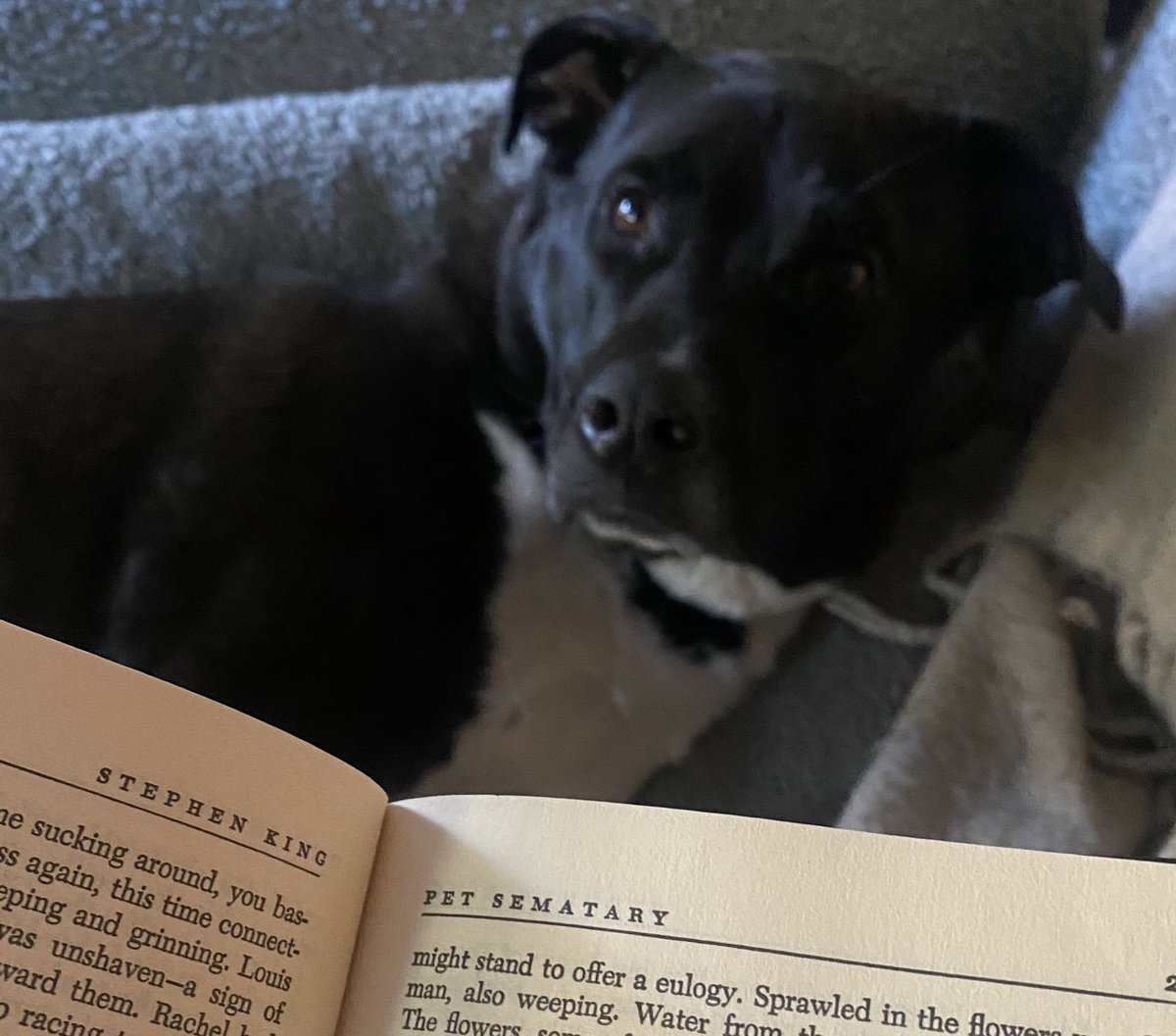 2376273's tweet photo. She just asked what I’m reading and I don’t know what to say https://t.co/qtPoNUnF7C