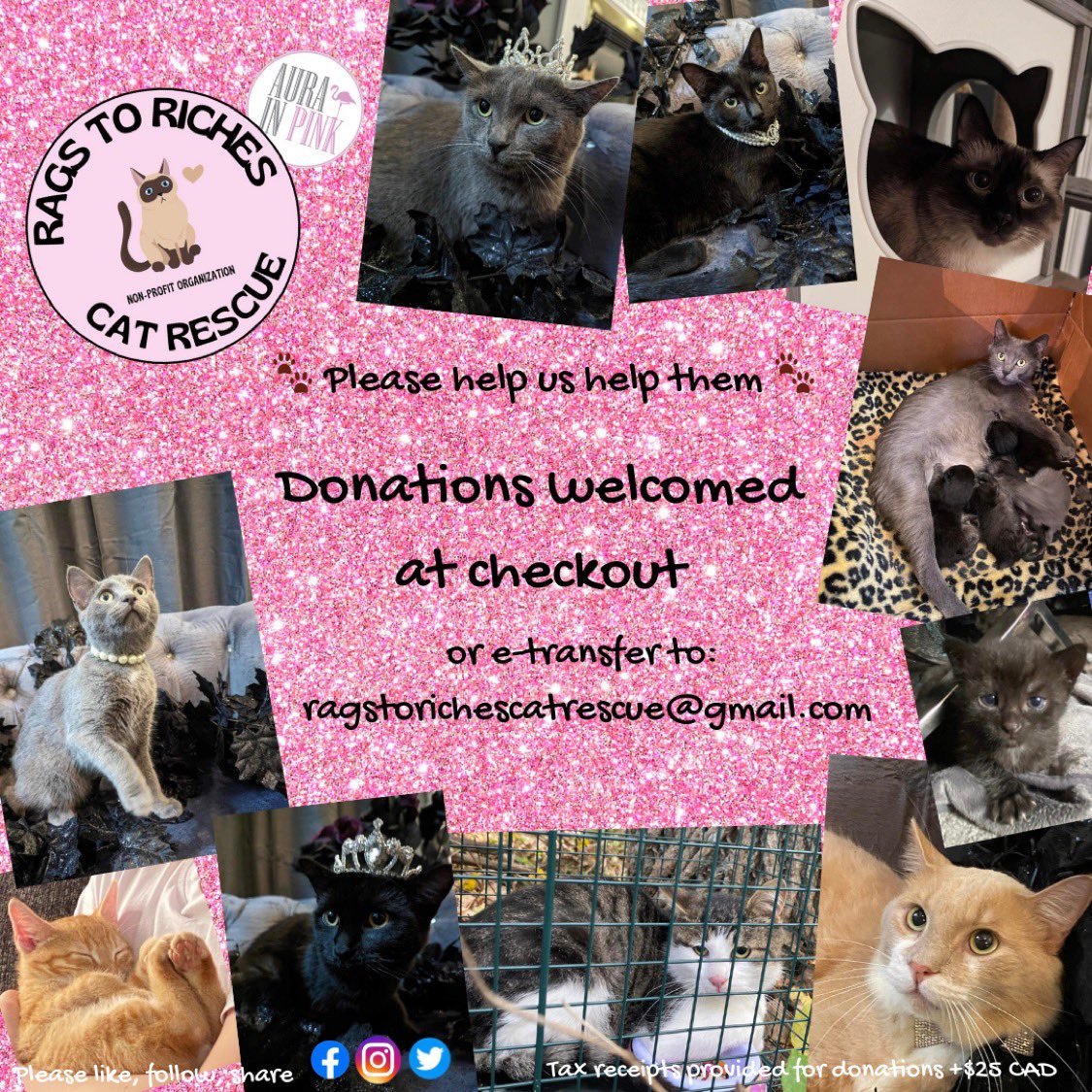 Help us help them. Donations can be added at checkout on AuraInPink.com or email transfer to: ragstorichescatrescue@gmail.com. Tax receipts will be provided for donations of $25 CAD or more. Thank you for your continued support 🐾

#ragstorichescatrescue #aurainpink