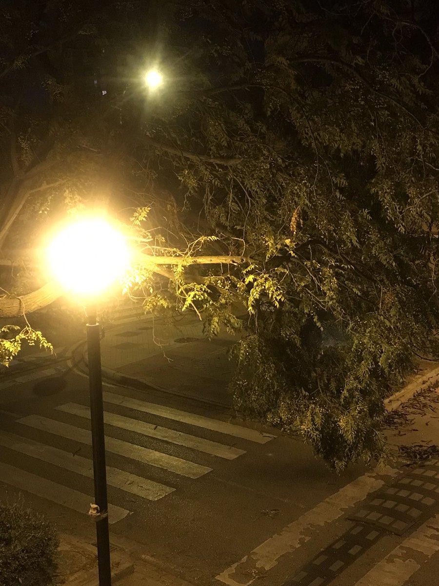 Chemamsc's tweet photo. A la altura del número 5 de la calle Cristóbal de Morales hay una rama que peligra en caerse por consecuencia del aire. Hemos notado una bajada abrupta del ángulo de la misma, con posibilidad de caída. 

@PoliciaGr @BomberosGranada https://t.co/BbLyXSJvlu