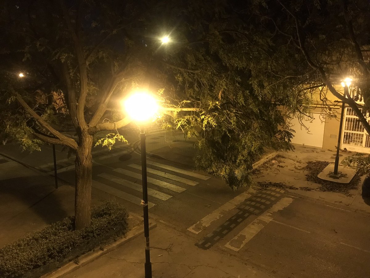 Chemamsc's tweet photo. A la altura del número 5 de la calle Cristóbal de Morales hay una rama que peligra en caerse por consecuencia del aire. Hemos notado una bajada abrupta del ángulo de la misma, con posibilidad de caída. 

@PoliciaGr @BomberosGranada https://t.co/BbLyXSJvlu