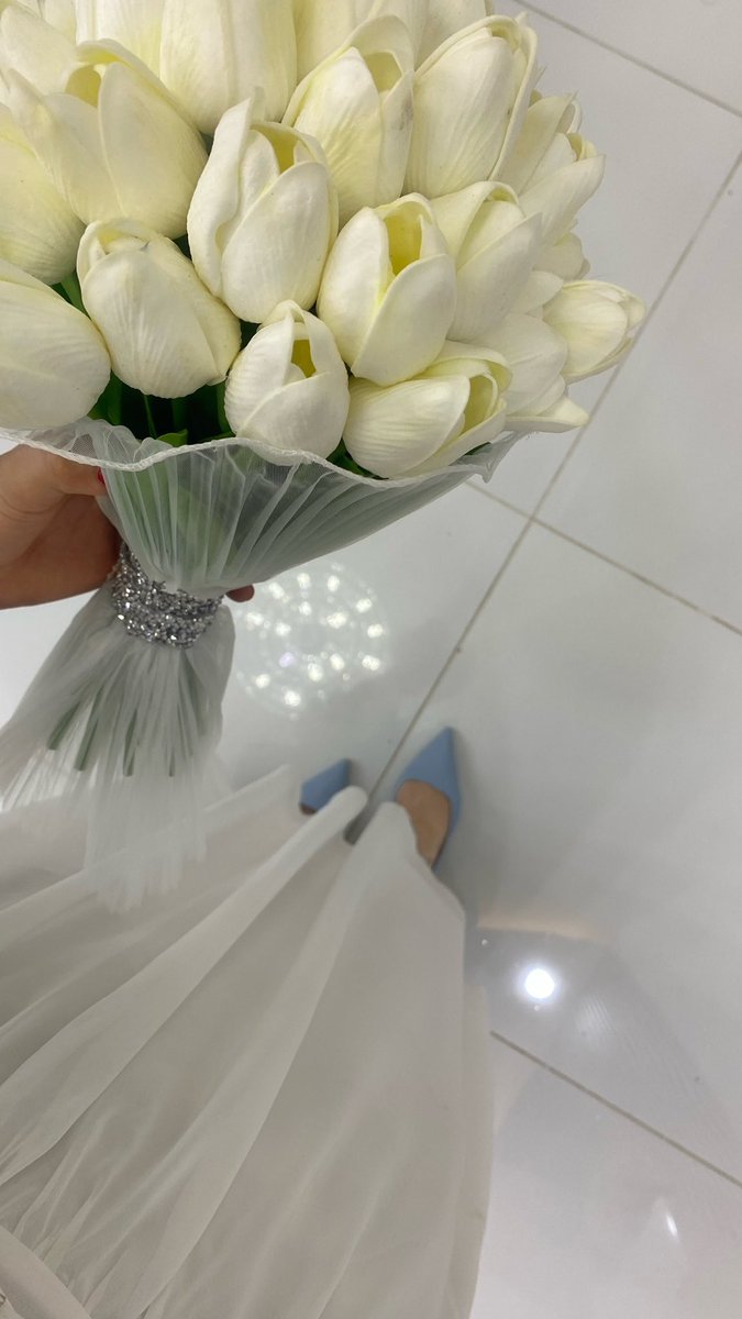 19 اكتوبر 🤍