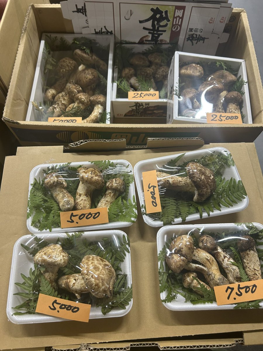 3Cj1t's tweet photo. 来た！

こわっw

#西宮 #カフェ　#パフェ　#スイーツ #フルーツ #市場の片隅
#卸売市場 #果物屋　#八百屋 #新オープン #開店 https://t.co/kUGfqtY9HB