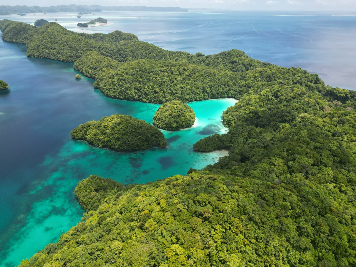 #Palau calls on the new global plastics treaty to prioritise production control and incentivise alternatives. More: 🔗tinyurl.com/2s3v5jvt #ResilientPacific #CleanPacific