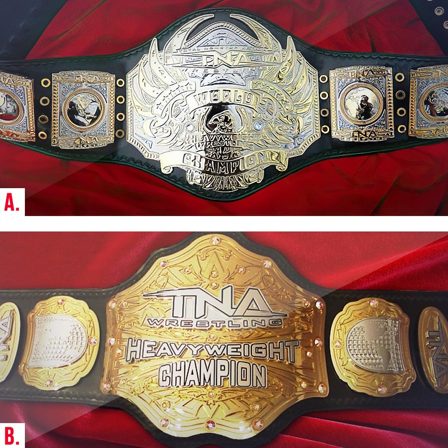 In January, TNA returns — Which title is best?