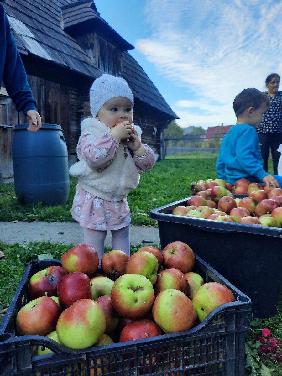 #fenerinmacivar #PrabhasBirthdayCelebrations