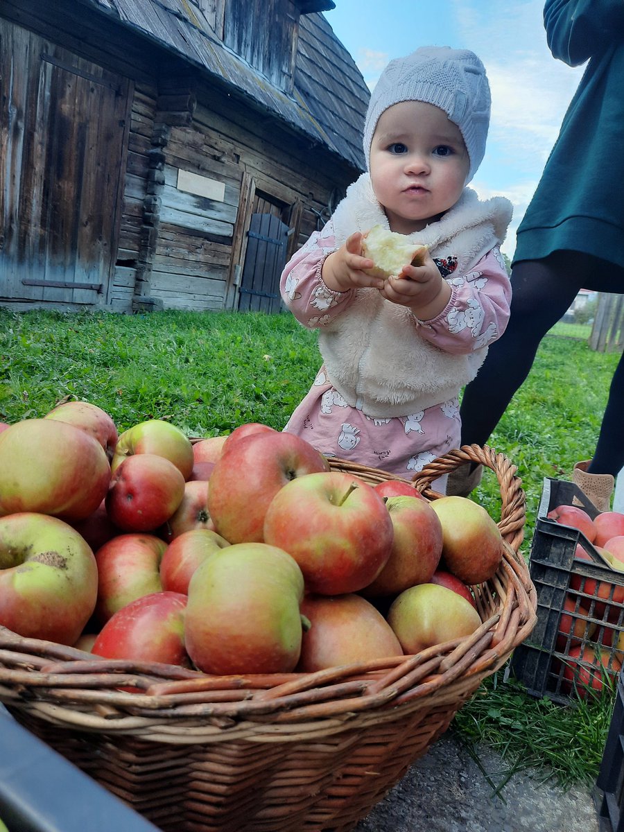 #foodlover #babie #Barbie #likeforlike #fenerinmacivar #SB19atPlaylistLiveFestival #SalaarCeaseFireOnDec22