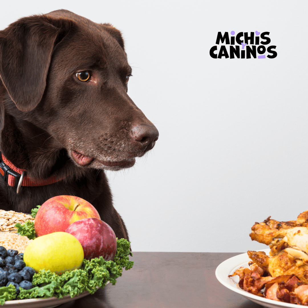 Michisycaninos's tweet photo. Tu amigo peludo se merece lo mejor, ¿verdad? ¿Qué tal si le das un capricho casero? Prueba esta receta fácil, sana y deliciosa de "Tarta de manzana para perros". ¡Es pata-sitivamente deliciosa! 🍎
#HomemadeDogTreats | #MichisyCaninos | #PetSnack https://t.co/BEFjvFvmMV
