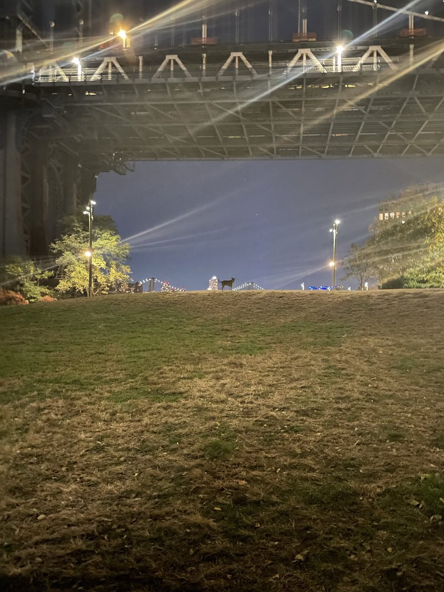 Tim Devane tweet media