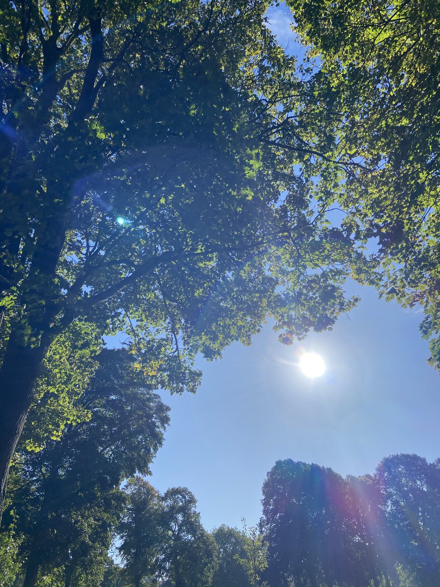 Jane Guy tweet media