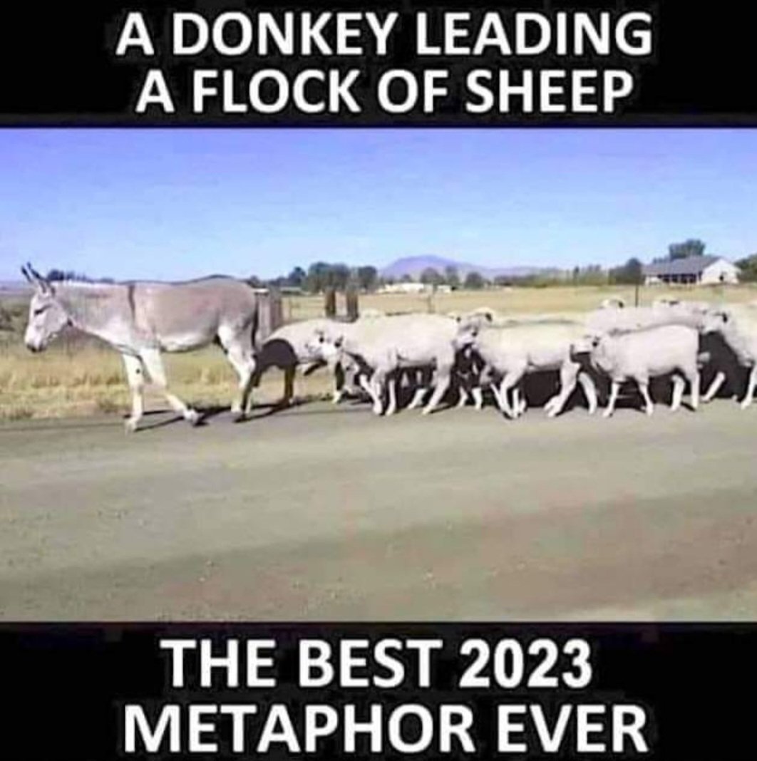 Our country is being led by a jackass and he is followed by a flock of sheep. Reality...
