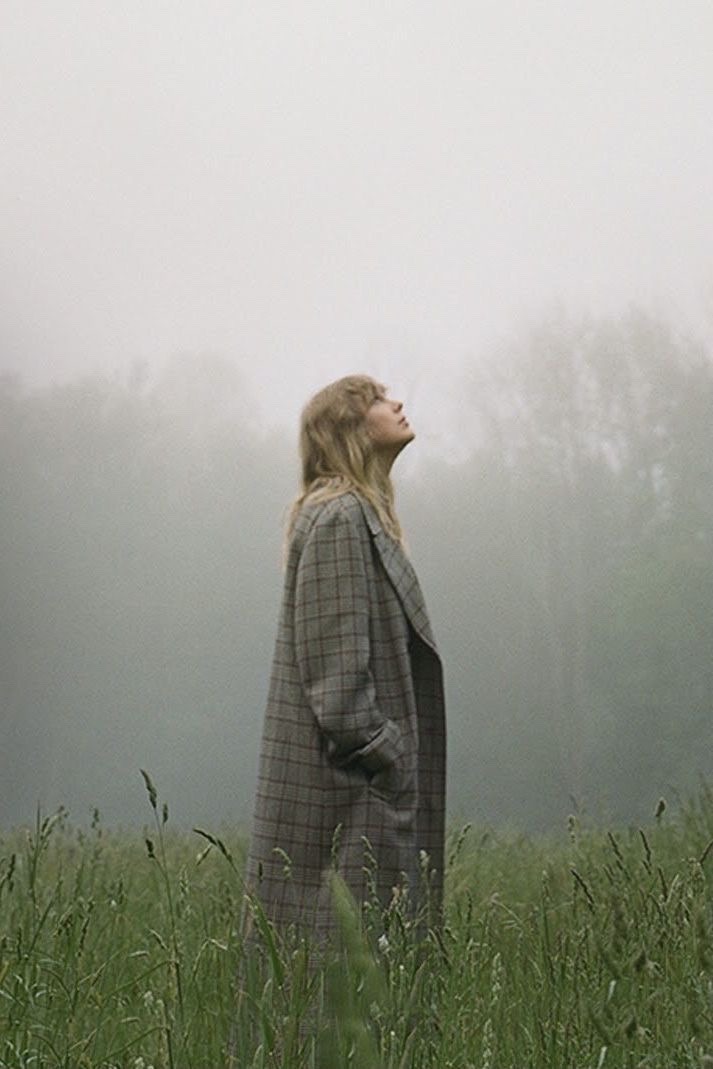 Novelle art. tweet media