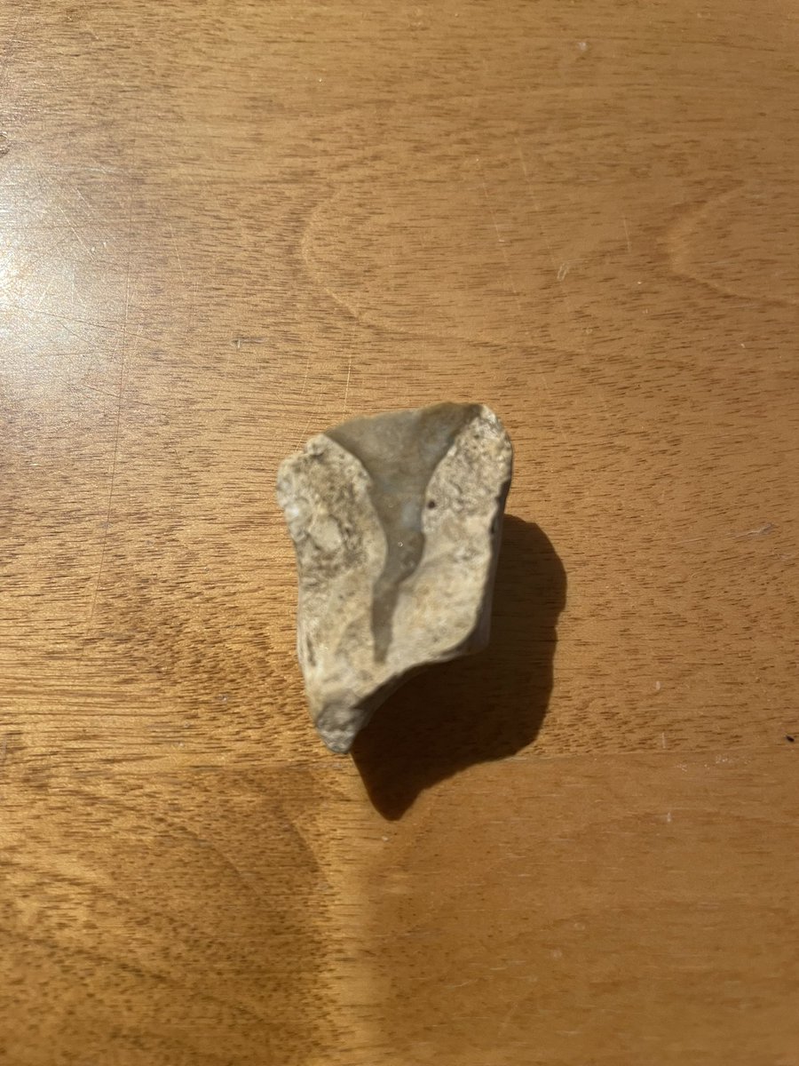 MikeWil32606343's tweet photo. Pretty cool little twister rock found down @PortBurwellPP @LakeErieNorth #StormHour #stromchasing #tornadorock @StormhunterTWN #tornado @ReedTimmerAccu #getoutdoors #ExploreMore #coolrocks any Petrology or mineralogy peeps know what kind of rock this is? @rockhardIES @EMG_minsoc https://t.co/97BnU0XmKl