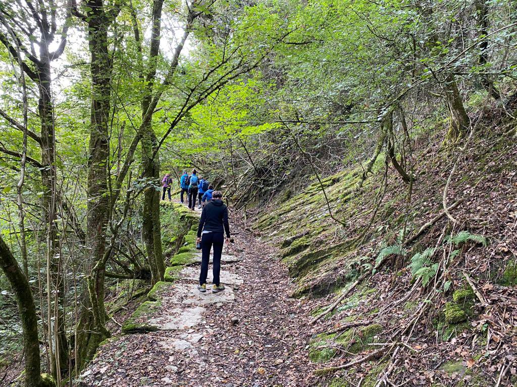 EBiziak's tweet photo. Gaurkoan, urriak 22, Eibarko basoak ezagutzen eta ezkurrak biltzen aritu gara. Eskerrik asko hurbildu zareten guztioi! 🌳🦉 @eibarkobasobiziak @bellotaeurope @EibarkoUdala https://t.co/1LOlZHdzCK