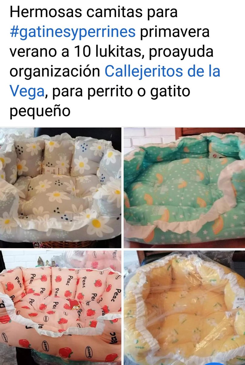 CallejeritosDeLaVega tweet media