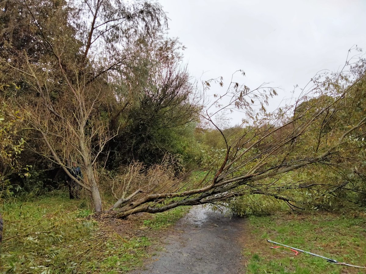 Friends of Brierdene tweet media