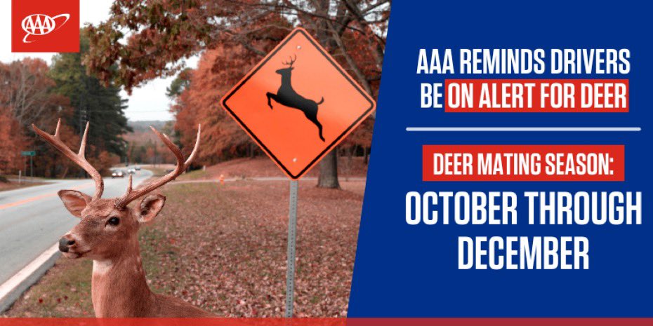 AAASDNews's tweet photo. Fall is the perfect time for a scenic drive, but watch out for wildlife crossing the road. Drive cautiously in areas prone to #deer and other animals. #WatchOutForDeer https://t.co/VOE6mmOA9W