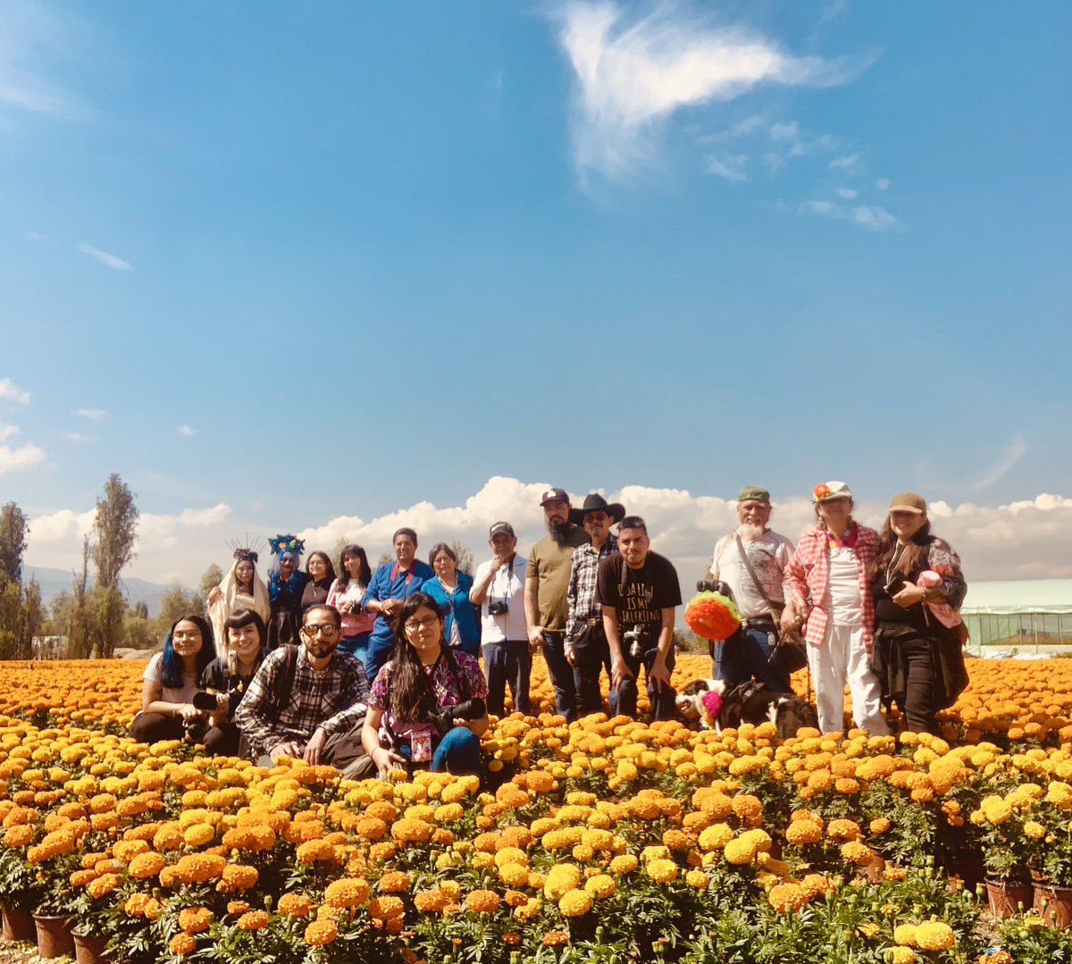 7Maleny's tweet photo. Un poco de lo qué vivimos en en Vol. 3 #Retrato artístico en campos de #cempasúchil 2023. Gracias a las modelos, alumnos y Amalia por su espacio tan bello con su trabajo de #productoradecempasuchil 

#cempasuchil #fotomalenyci #clasepracticadefoto #fotocempsuchil #DiaDeMuertos https://t.co/9yipwGTVZH