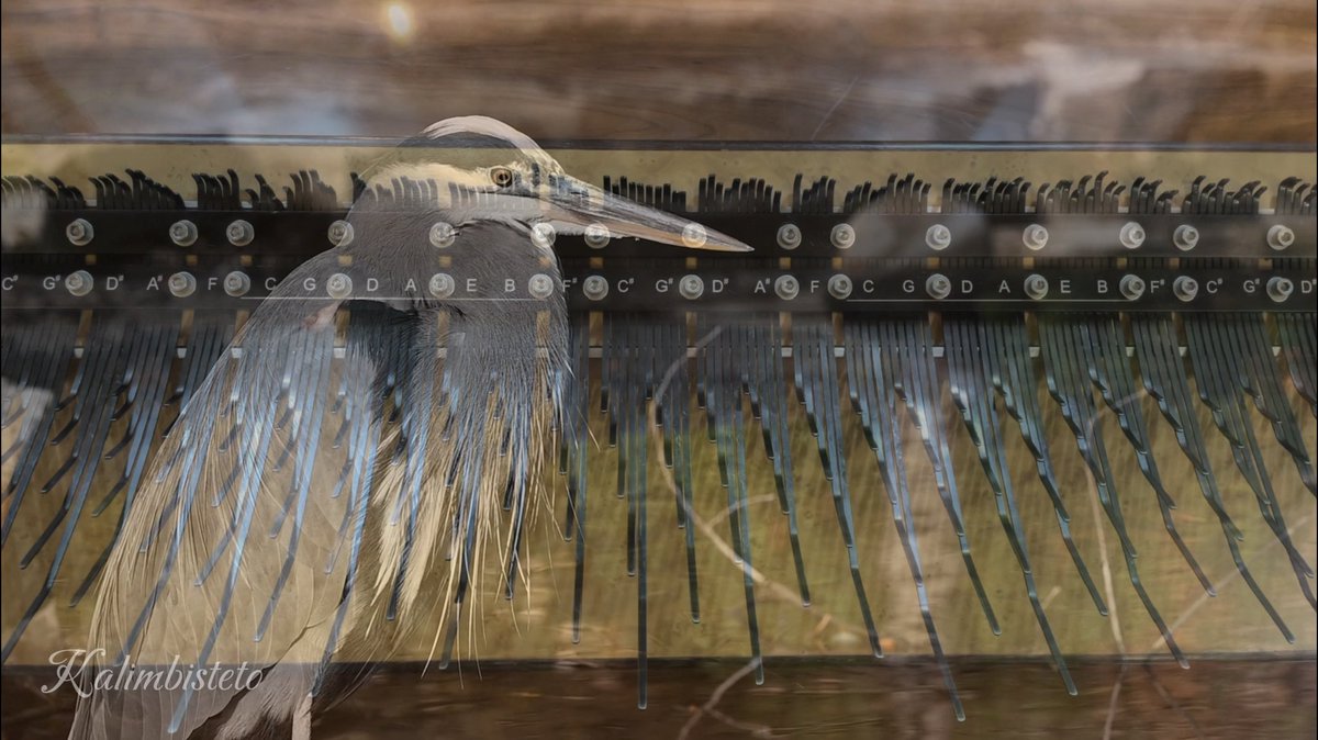 Kalimbisteto's tweet image. [Array Mbira Cover] &apos;Spinning Globe&apos; (Kenshi Yonezu) - Studio Ghibli&apos;s &apos;The Boy and The Heron&apos; OST
youtu.be/GlXfHyf3apU
【アレイムビラ演奏】​『地球儀』（米津玄師） - ジブリ『君たちはどう生きるか』主題歌