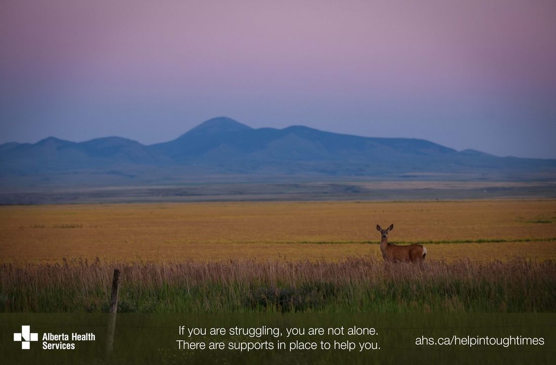 AHS_media's tweet photo. If you are struggling, you are not alone—AHS has resources and services available to help you. For information on supports in place to help, visit https://t.co/FJu8lNk7Vb  or call the Mental Health Helpline at 1-877-303-2642. https://t.co/srEpi5bAqE