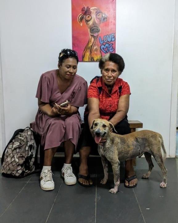 FurrrryB's tweet photo. Good YADRA #TeamFiji! Much easier now to send whatever you’re able to to @animalsfiji (go #mPaisa)! Our  humans just did to contribute to Boy’s 👇🏾👇🏾👇🏾 costs. Please help those working on the ground for the welfare of animals. https://t.co/2VycTELLwl