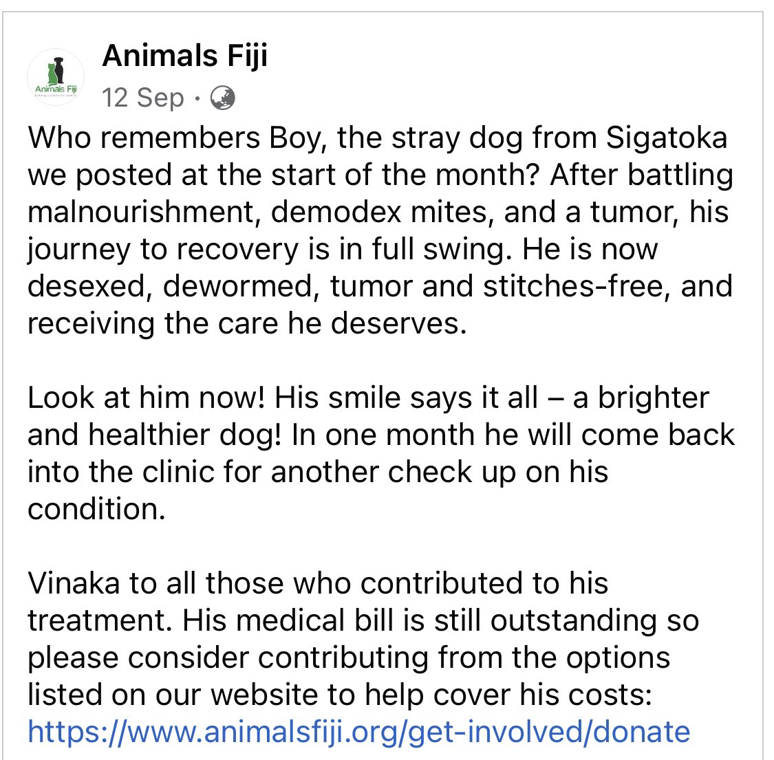 FurrrryB's tweet photo. Good YADRA #TeamFiji! Much easier now to send whatever you’re able to to @animalsfiji (go #mPaisa)! Our  humans just did to contribute to Boy’s 👇🏾👇🏾👇🏾 costs. Please help those working on the ground for the welfare of animals. https://t.co/2VycTELLwl