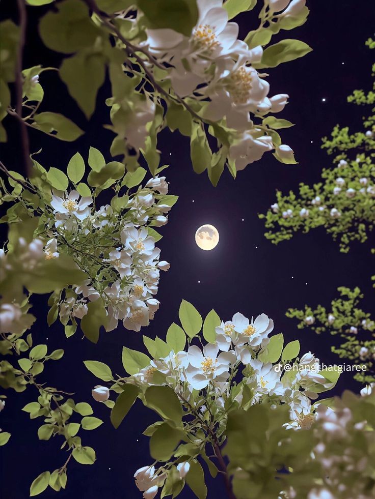 softdeIicacy's tweet image. always in love with the moon.