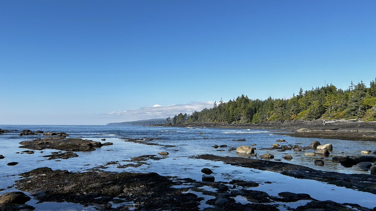 MiningCatalyst's tweet image. The West Coast is truly amazing #BeatifulBC