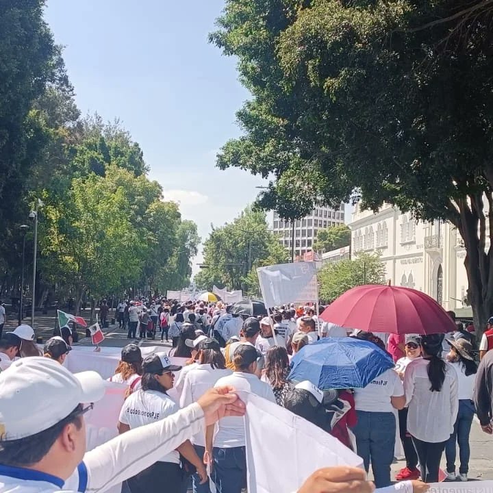 Barra Mexicana de Abogados Capitulo Puebla tweet media