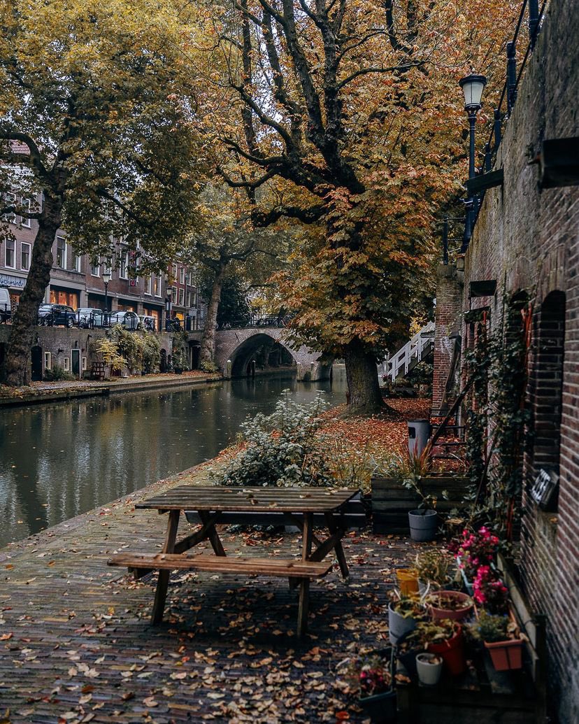 archi_tradition's tweet photo. Utrecht, Netherlands 🇳🇱 
📸: @utrechtalive https://t.co/rNJG1Lezcu