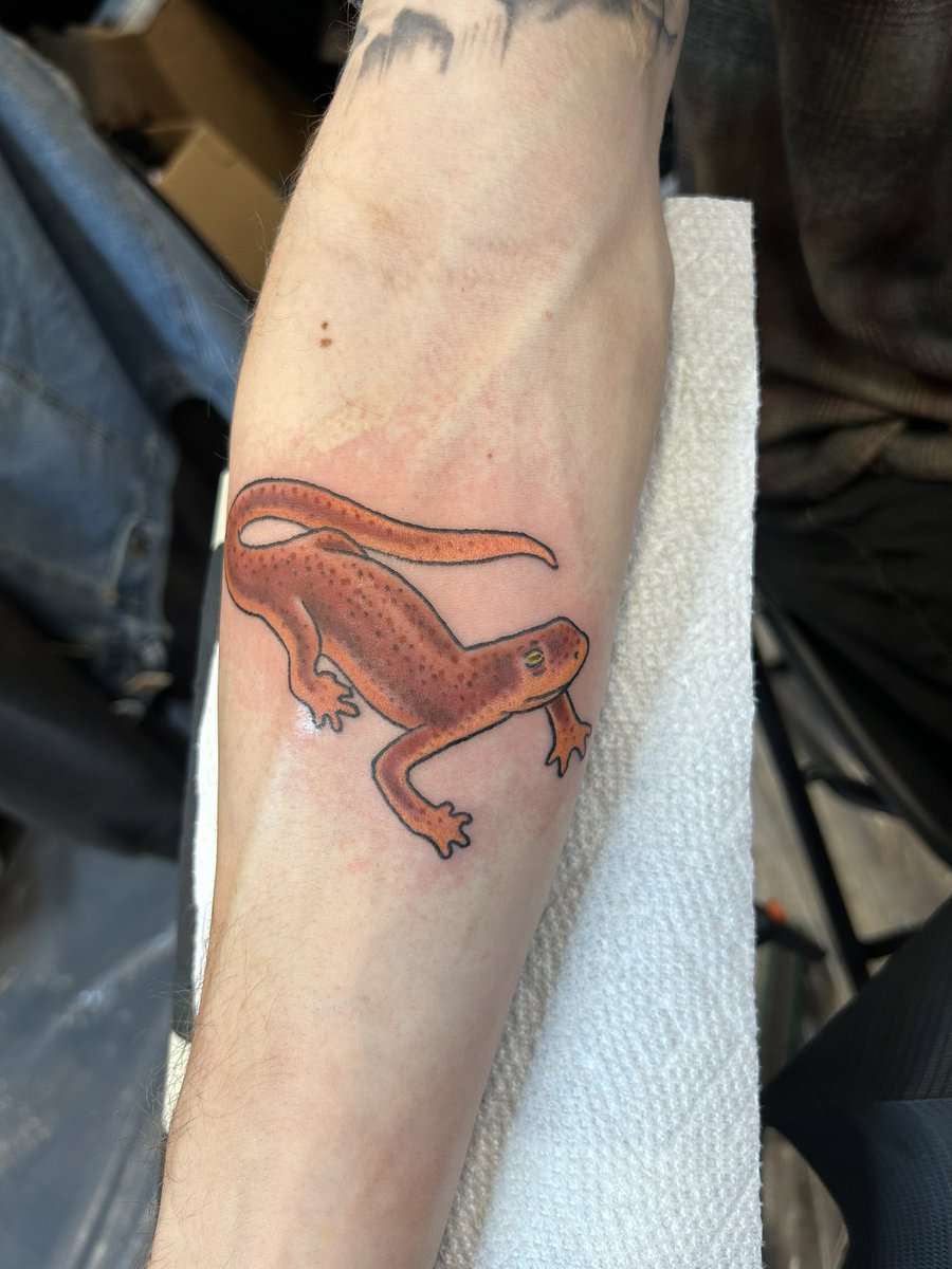 Orton_JP's tweet photo. Lil rough skinned newt tattoo. Accompanying garter snake to come. Lil evolutionary arms race https://t.co/FBfnTfRaPt