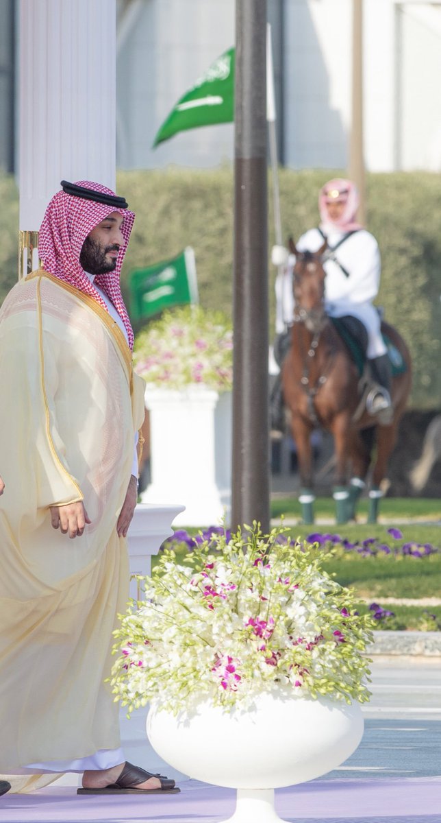 #محمد_بن_سلمان 
#سورنا_العالي