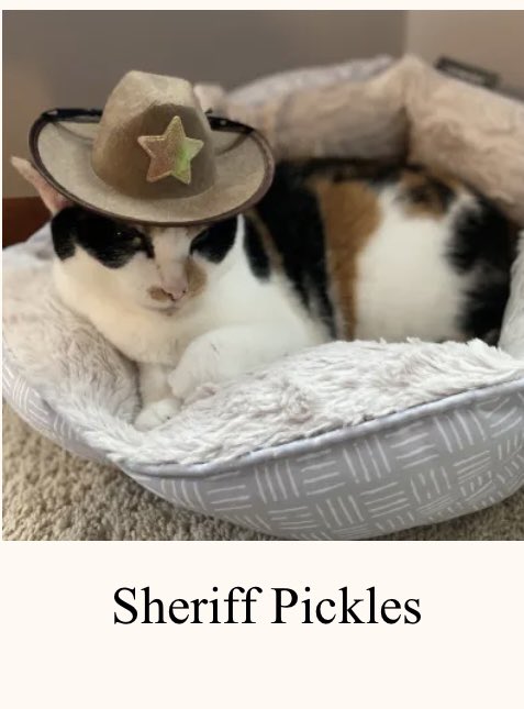 Can you vote in this fun Halloween contest? Help “Sheriff Pickles” and vote for her! opinionstage.com/page/adffe71e-…