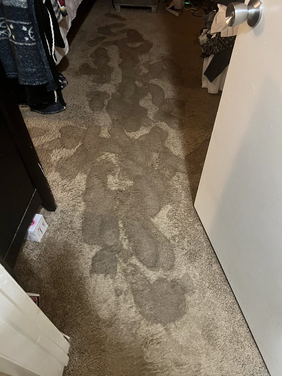 Tiffany _ LMA_Littles tweet media