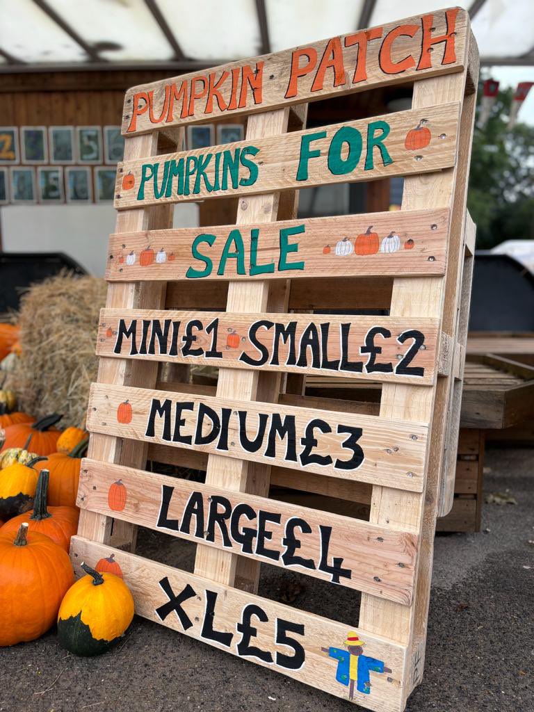 Mountnessing School tweet media