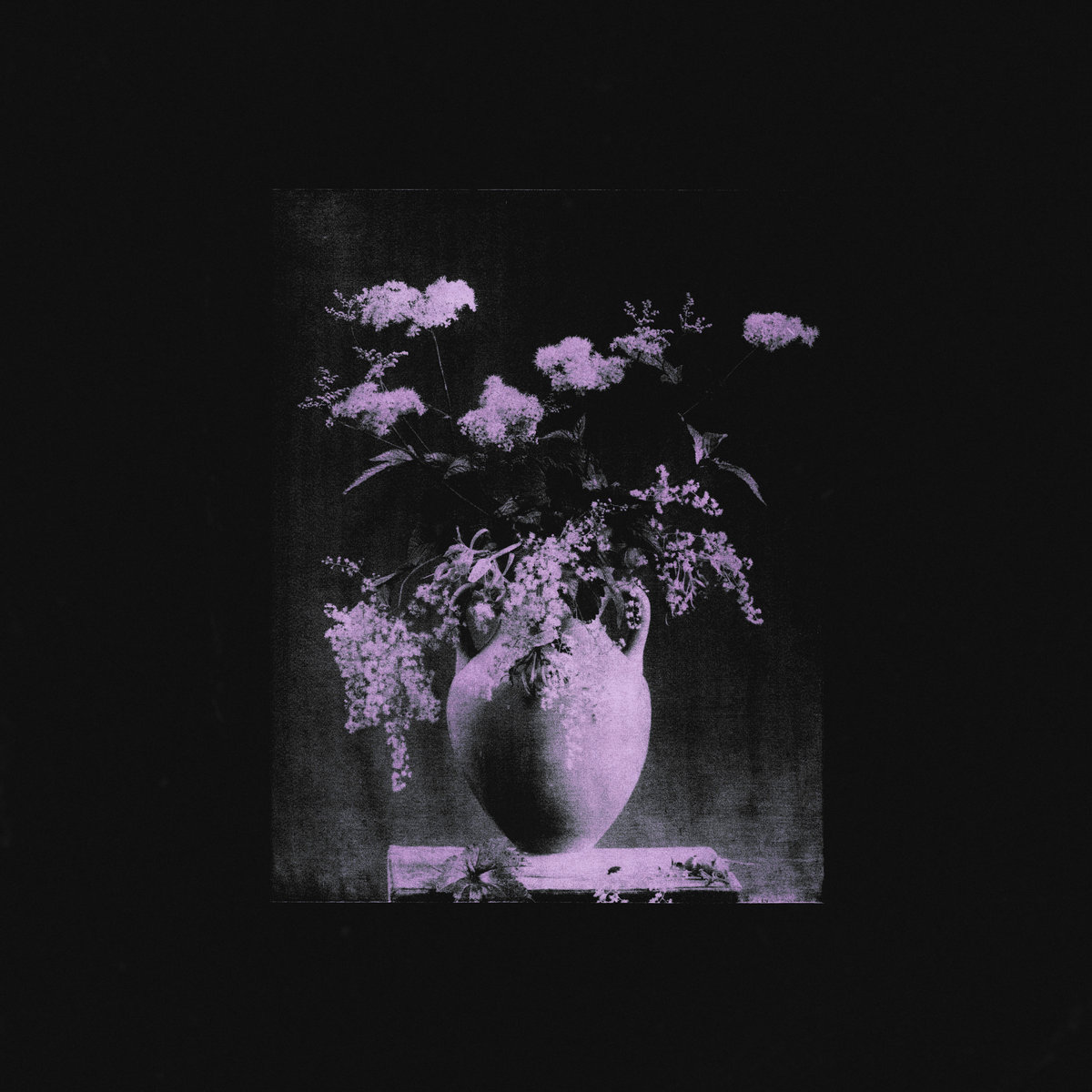 Skreen (@skreen_b) on Twitter photo Sunday night seems like a perfect time to listen to a classy slither of goth, that's what you get with Chamber of Roses by Vancouver's dark delights <a href="/rngfngr/">Ringfinger 🌙</a>...
skreenb.blogspot.com/2023/10/ringfi…
#goth #gothmusic #gothicmusic #gothic #darkwave #musicvideo Sunday night seems like a perfect time to listen to a classy slither of goth, that's what you get with Chamber of Roses by Vancouver's dark delights <a href="/rngfngr/">Ringfinger 🌙</a>...
skreenb.blogspot.com/2023/10/ringfi…
#goth #gothmusic #gothicmusic #gothic #darkwave #musicvideo