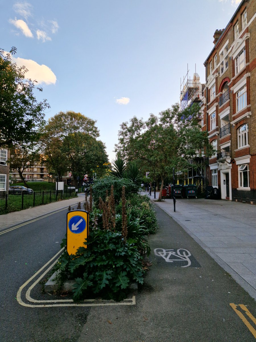 Apologies for being super nerdy, but it turns out it's this scheme in Vauxhall that is just absolutely top tier. Salvia, cannas, brugmansia, AND a friggin banana! Great work all round.