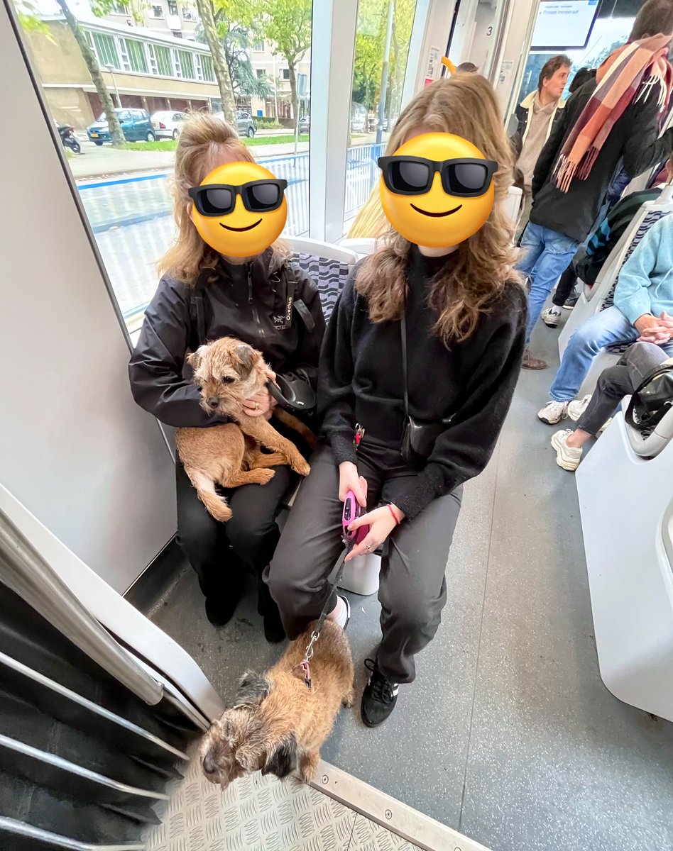 SamPlusLou's tweet photo. We haz been to Hamsterdam, to see Hoosis graduwachun @UvA_Amsterdam  #BTposse #TramLife https://t.co/MclmzTivSj