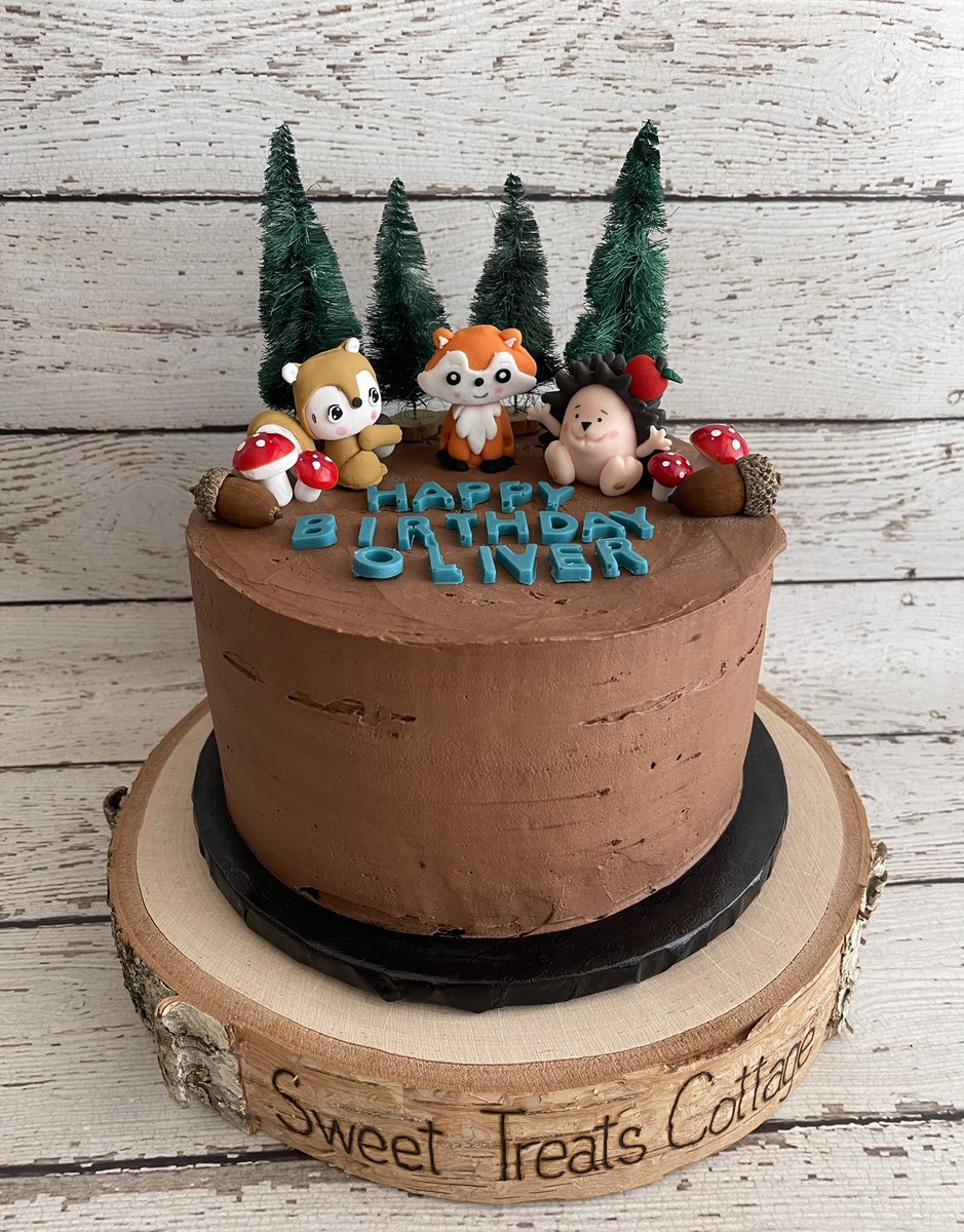 Oliver requested a vanilla cake with chocolate mousse filling and chocolate whip cream frosting with woodland animals. I hope he has a wonderful birthday 🤎 Now time to watch this game 🏈#VolunteerBaker #FosterYouth #ForGoodnessCakes