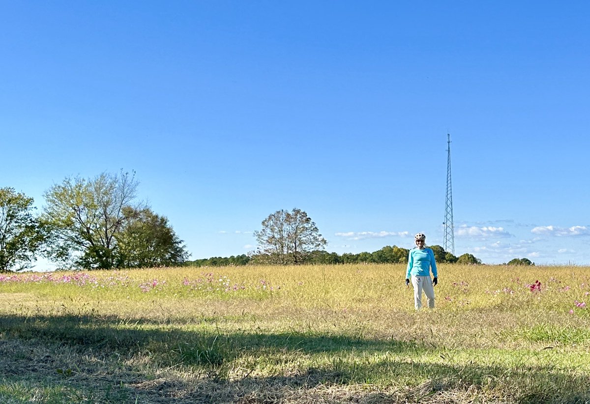 ⁦<a href="/ErikaSwims/">Erika Braun</a>⁩ took  time out of the pool for a greenway ride w/me. She’s still a little sad that ⁦⁦<a href="/RaleighGov/">City of Raleigh</a>⁩ relocated the  🌻 to Dix Park. It used to be like finding a hidden gem when you came upon out here. Luckily, they’re planting wildflowers now.