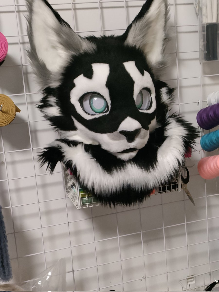 axthefox1's tweet photo. 🐈
#fursuit #fursuitmaker https://t.co/bDstk4oJce