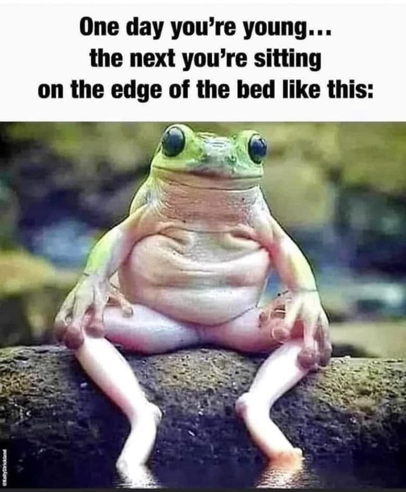 Pat Shortt tweet media