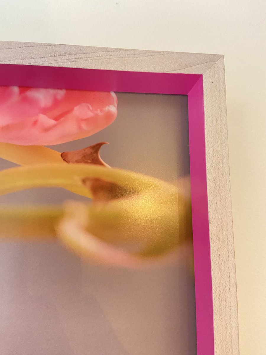 The framing of my photographs are really beautiful I just want to say that