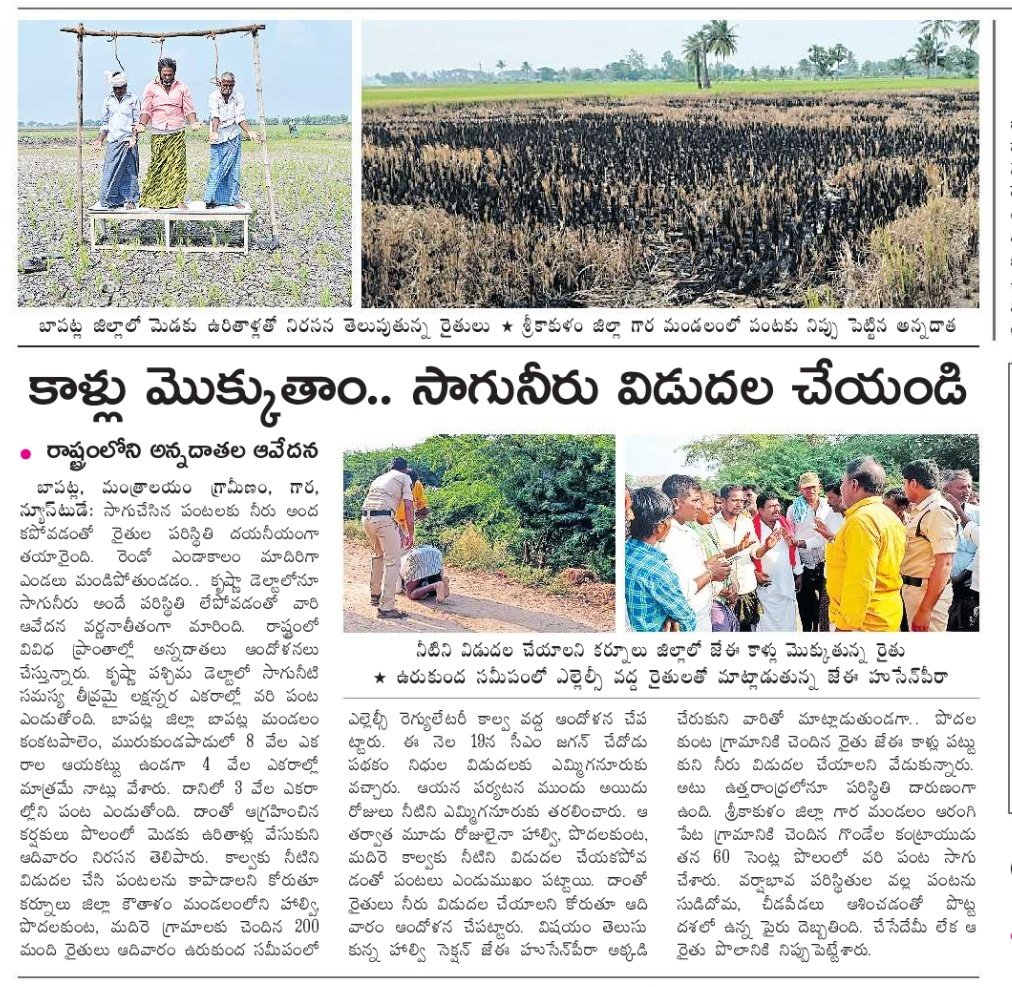 F9F-7FaaQAA2Z8A?format=jpg&name=medium