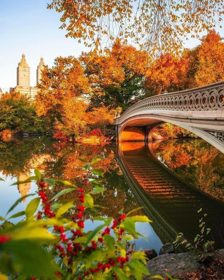 helena_mar19's tweet photo. Good Morning 
Happy New Week 

(NY-USA,📷Pinterest) https://t.co/uRzEaS0E83