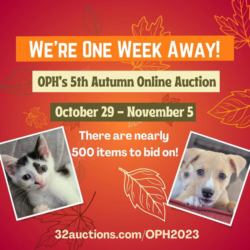There's just one week left until you can start #bidding! The 5th OPH Autumn Online Auction begins Sunday, October 29th! Browse the #auction now and register so you're ready to bid on the 29th! 32auctions.com/OPH2023 <a href="/huxleyandkent/">Huxley & Kent</a>