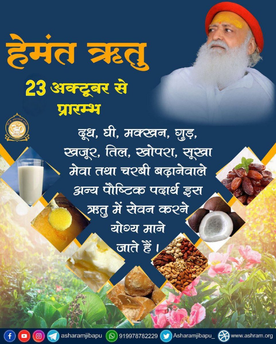 AshramGnganagar's tweet photo. Sant Shri Asharamji Bapu says
during Hemant Ritu, one should consume more foods that are heavy to digest, full of nutrition, rich and made from ghee. Exercise, body massage or bathing with hot water should be done every morning.  #ऋतु_अनुसार_आहार_व���हार https://t.co/LRt6js55Ny