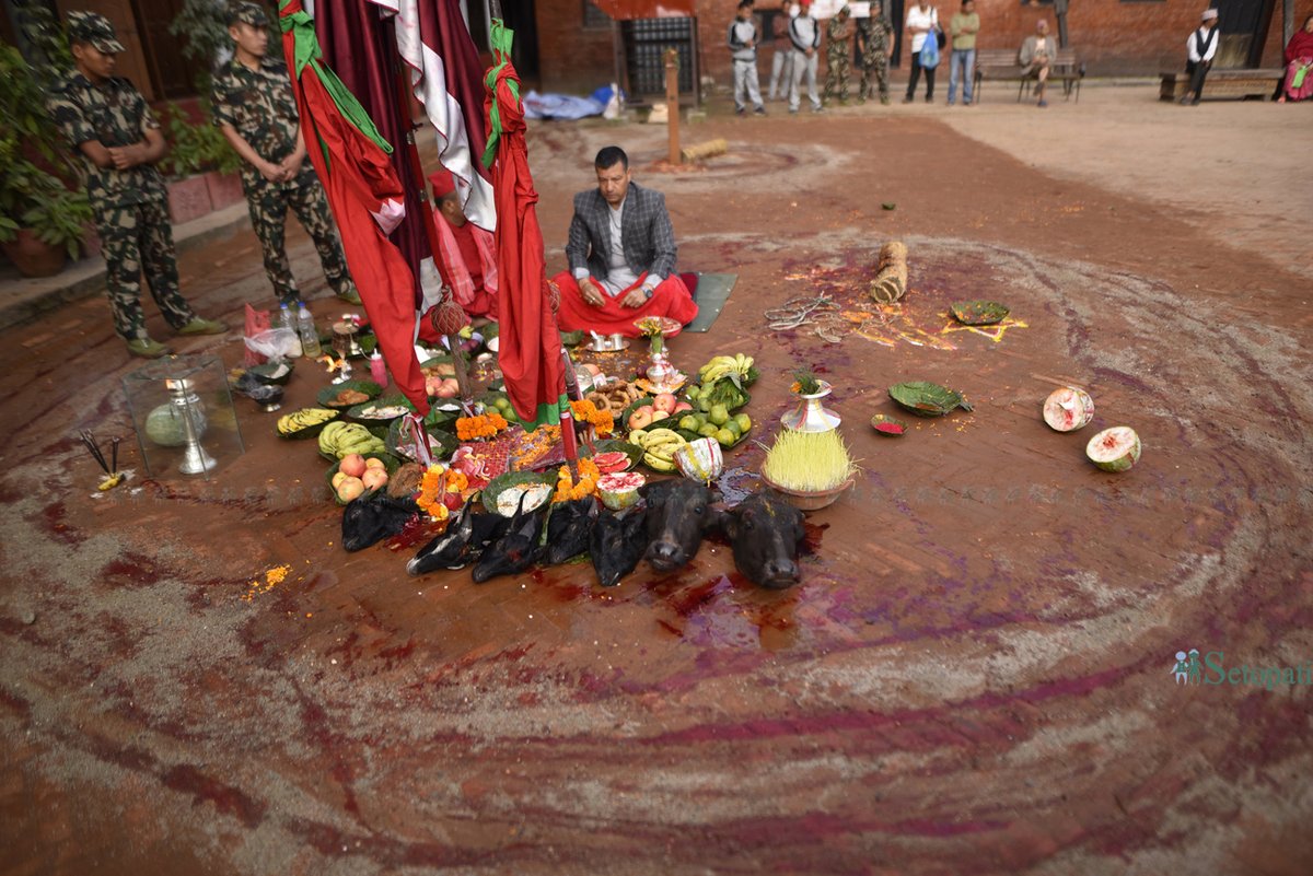 maharjanarayan's tweet photo. FilePhotos:Navami, ninth day of Biggest Hindu festival Dashain Celebrated. https://t.co/Z3M0SfP7KR